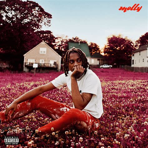 molly by playboi carti|playboi carti translate.